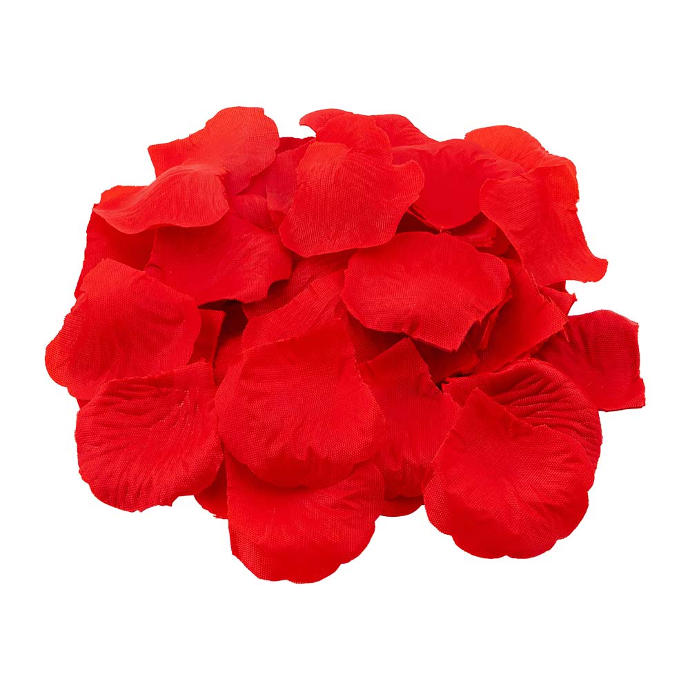 534101-VALENTINES-ROSE-PETAL-120PK-v3